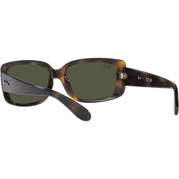 RayBan Womens RB4389 Square SunglassesHavanaGreen