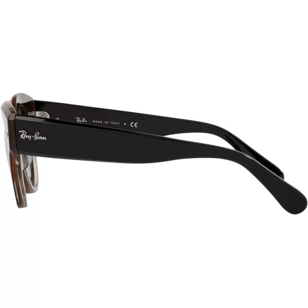 RayBan Womens Rb2192 Roundabout Round SunglassesBlack on Transparent BrownGrey Gradient