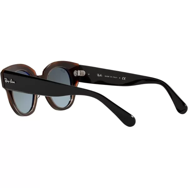 RayBan Womens Rb2192 Roundabout Round SunglassesBlack on Transparent BrownGrey Gradient