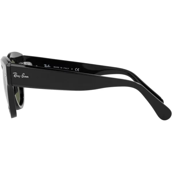 RayBan Womens Rb2192 Roundabout Round SunglassesBlackGreen