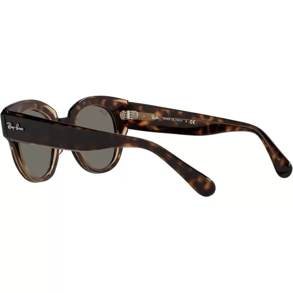 RayBan Womens Rb2192 Roundabout Round SunglassesHavana on Transparent BrownDark Grey
