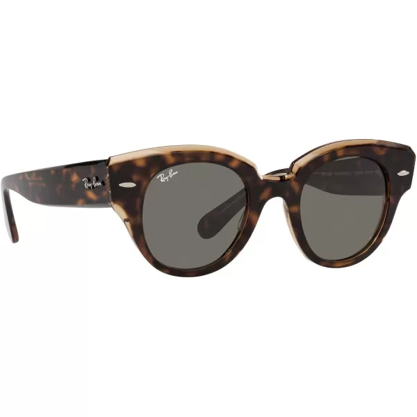 RayBan Womens Rb2192 Roundabout Round SunglassesHavana on Transparent BrownDark Grey