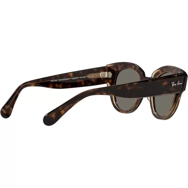 RayBan Womens Rb2192 Roundabout Round SunglassesHavana on Transparent BrownDark Grey