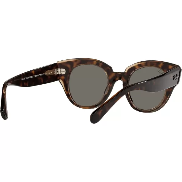 RayBan Womens Rb2192 Roundabout Round SunglassesHavana on Transparent BrownDark Grey