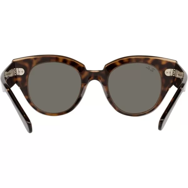 RayBan Womens Rb2192 Roundabout Round SunglassesHavana on Transparent BrownDark Grey