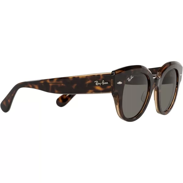 RayBan Womens Rb2192 Roundabout Round SunglassesHavana on Transparent BrownDark Grey