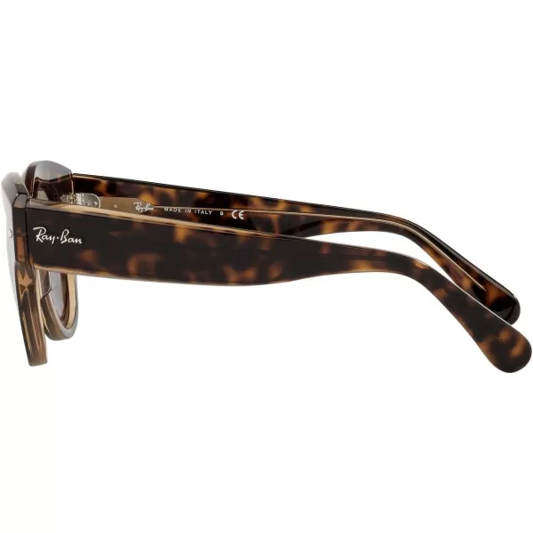 RayBan Womens Rb2192 Roundabout Round SunglassesHavana on Transparent BrownDark Grey