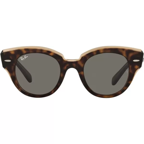 RayBan Womens Rb2192 Roundabout Round SunglassesHavana on Transparent BrownDark Grey