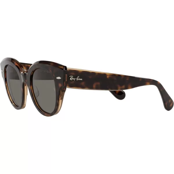 RayBan Womens Rb2192 Roundabout Round SunglassesHavana on Transparent BrownDark Grey