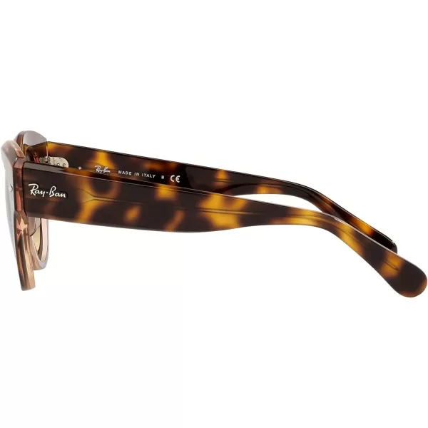 RayBan Womens Rb2192 Roundabout Round SunglassesHavana on Transparent PinkBrown Gradient