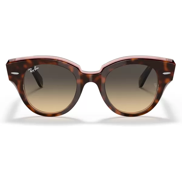 RayBan Womens Rb2192 Roundabout Round SunglassesHavana on Transparent PinkBrown Gradient