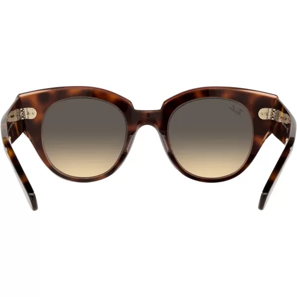 RayBan Womens Rb2192 Roundabout Round SunglassesHavana on Transparent PinkBrown Gradient