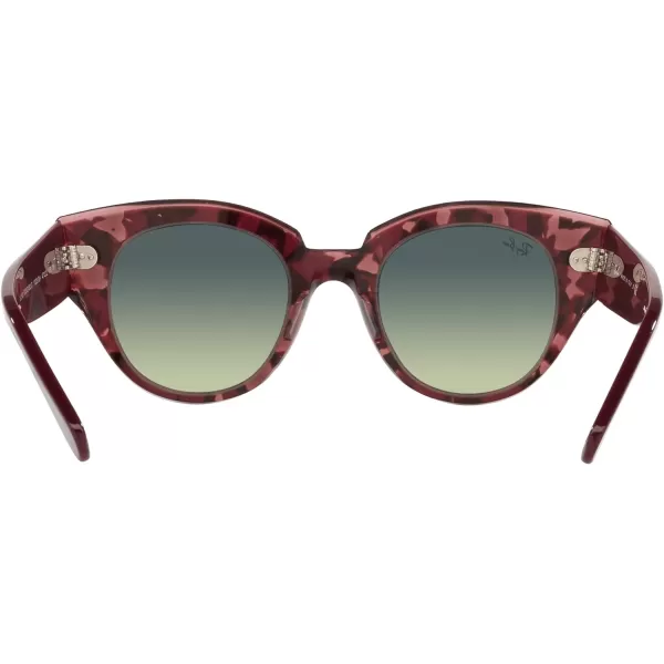 RayBan Womens Rb2192 Roundabout Round SunglassesHavana on Transparent PurpleGreen Gradient