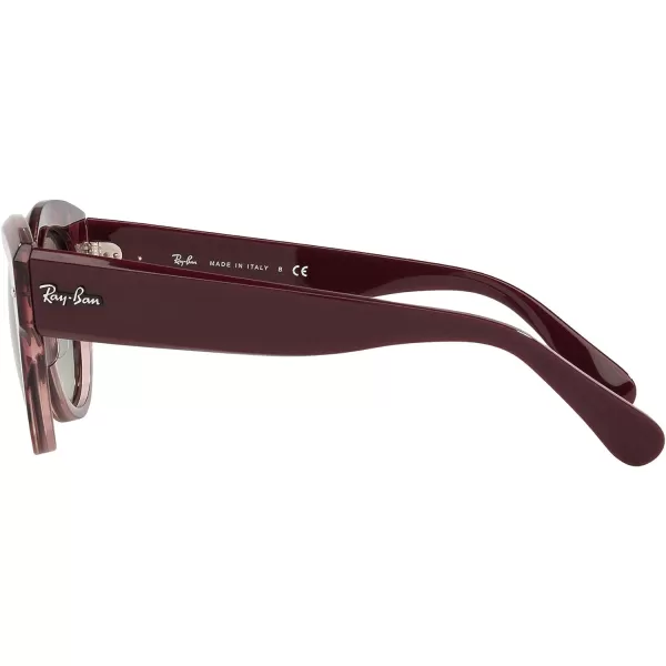 RayBan Womens Rb2192 Roundabout Round SunglassesHavana on Transparent PurpleGreen Gradient