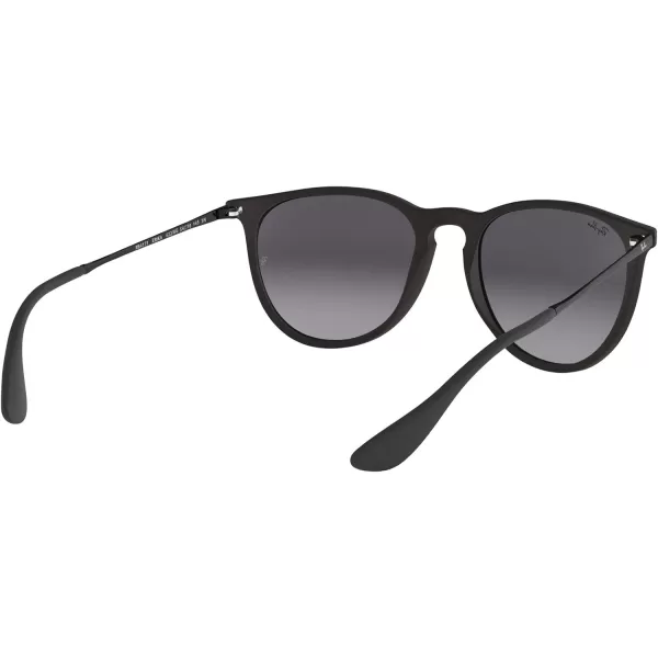 RayBan Womens Rb4171 Erika Round SunglassesBlack