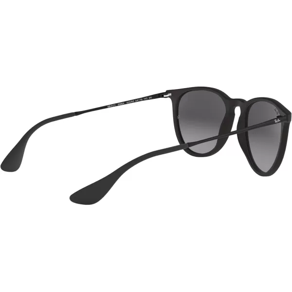 RayBan Womens Rb4171 Erika Round SunglassesBlack