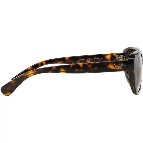 RayBan Womens Rb4227 Square SunglassesRayBan Womens Rb4227 Square Sunglasses