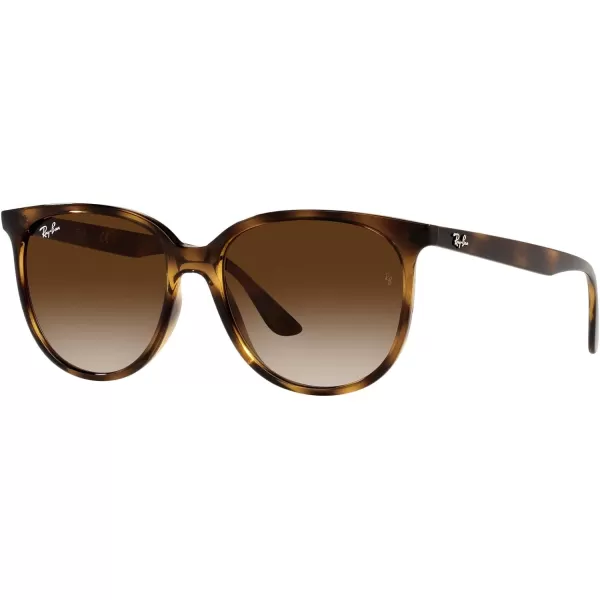 RayBan Womens Rb4378 Square SunglassesHavanaGradient Brown