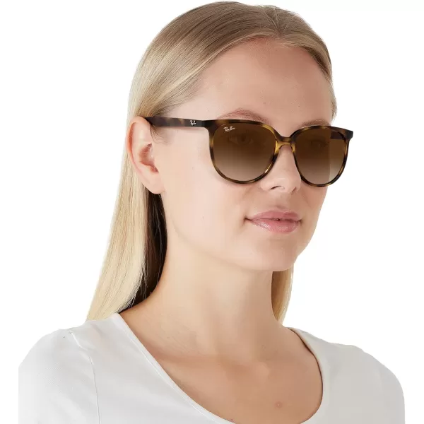 RayBan Womens Rb4378 Square SunglassesHavanaGradient Brown