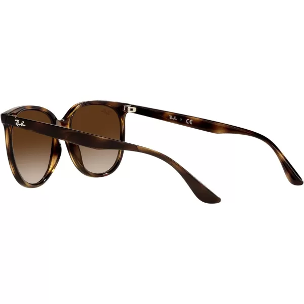 RayBan Womens Rb4378 Square SunglassesHavanaGradient Brown