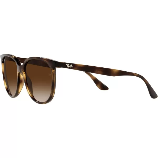 RayBan Womens Rb4378 Square SunglassesHavanaGradient Brown