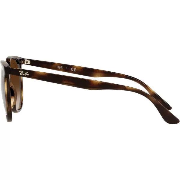 RayBan Womens Rb4378 Square SunglassesHavanaGradient Brown