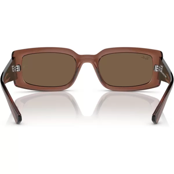 RayBan Womens Rb4395 Kiliane Square SunglassesTransparent BrownDark Brown