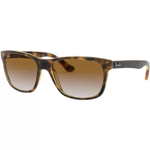 RayBan Mens RB4181 Square SunglassesLight HavanaClear Gradient Brown