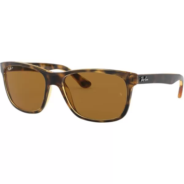 RayBan Mens RB4181 Square SunglassesLight HavanaPolarized Brown