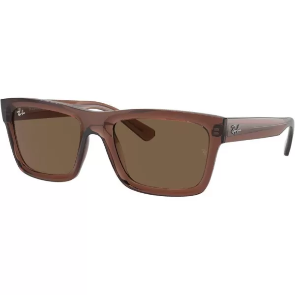 RayBan Mens Rb4396 Warren Rectangular SunglassesTransparent BrownDark Brown