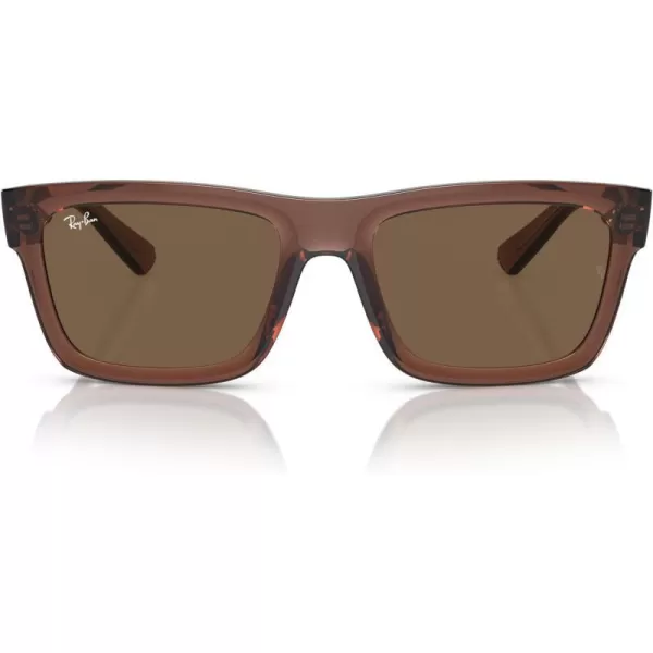 RayBan Mens Rb4396f Warren Low Bridge Fit Rectangular SunglassesTransparent BrownDark Brown