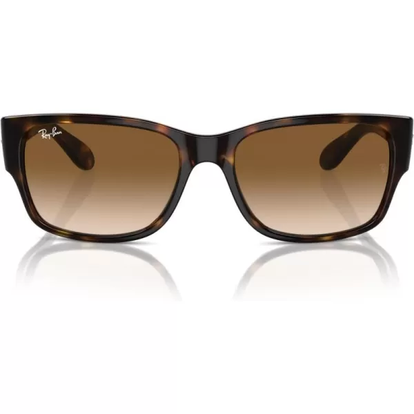 RayBan RB4388 Square SunglassesHavanaClear Gradient Brown