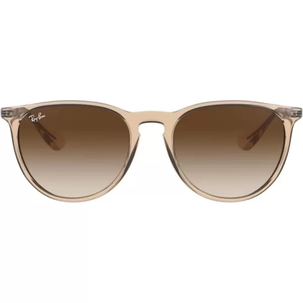 RayBan Rb4171f Erika Low Bridge Fit Round SunglassesTransparent Light BrownBrown Gradient Dark Brown