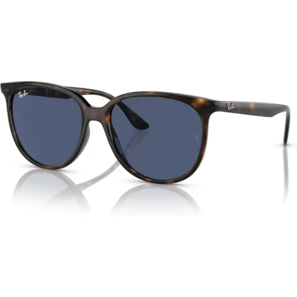 RayBan Womens Rb4378 Square SunglassesHavanaDark Blue