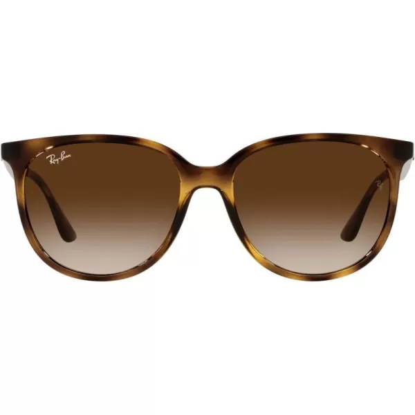 RayBan Womens Rb4378 Square SunglassesHavanaGradient Brown