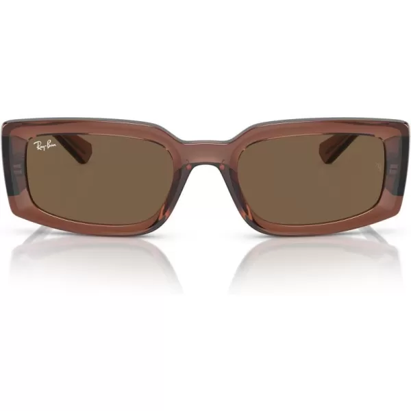 RayBan Womens Rb4395f Kiliane Low Bridge Fit Square SunglassesTransparent BrownDark Brown