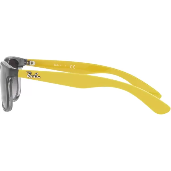 RayBan Junior Rj9062S Rectangular Sunglasses Transparent GreyGrey Gradient 48 mmRayBan Junior Rj9062S Rectangular Sunglasses Transparent GreyGrey Gradient 48 mm