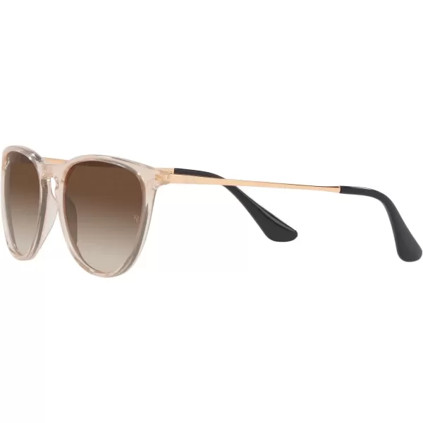 RayBan RJ9060S Erika Round Sunglasses Transparent Light BrownBrown Gradient 50 mmRayBan RJ9060S Erika Round Sunglasses Transparent Light BrownBrown Gradient 50 mm