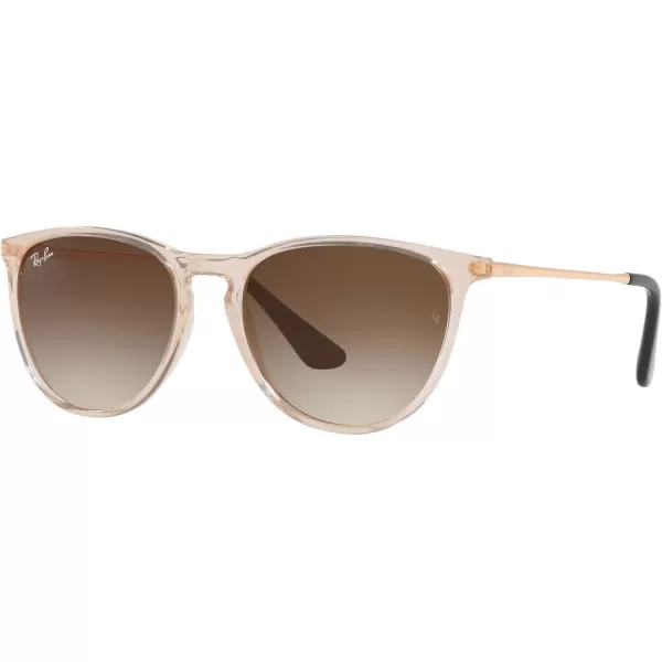 RayBan RJ9060S Erika Round Sunglasses Transparent Light BrownBrown Gradient 50 mmRayBan RJ9060S Erika Round Sunglasses Transparent Light BrownBrown Gradient 50 mm