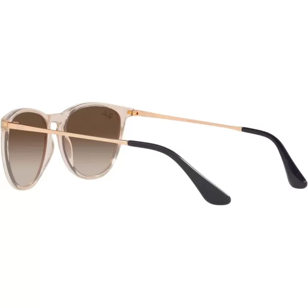 RayBan RJ9060S Erika Round Sunglasses Transparent Light BrownBrown Gradient 50 mmRayBan RJ9060S Erika Round Sunglasses Transparent Light BrownBrown Gradient 50 mm