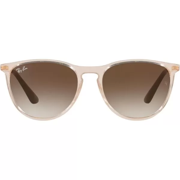 RayBan RJ9060S Erika Round Sunglasses Transparent Light BrownBrown Gradient 50 mmRayBan RJ9060S Erika Round Sunglasses Transparent Light BrownBrown Gradient 50 mm