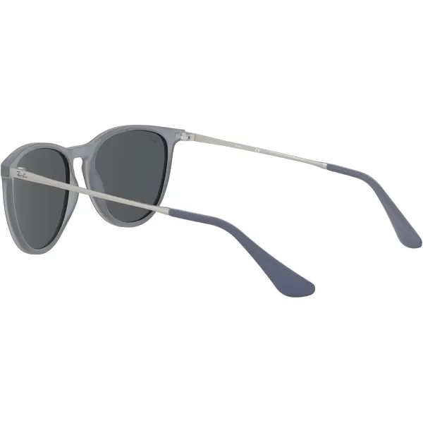 RayBan Junior RJ9060SF Erika Asian Fit Round Sunglasses Rubber Transparent GreyDark Grey 52 mmRayBan Junior RJ9060SF Erika Asian Fit Round Sunglasses Rubber Transparent GreyDark Grey 52 mm
