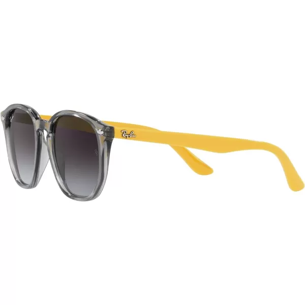 RayBan Junior RJ9070S Round Sunglasses Transparent GreyGrey Gradient 46 mmRayBan Junior RJ9070S Round Sunglasses Transparent GreyGrey Gradient 46 mm