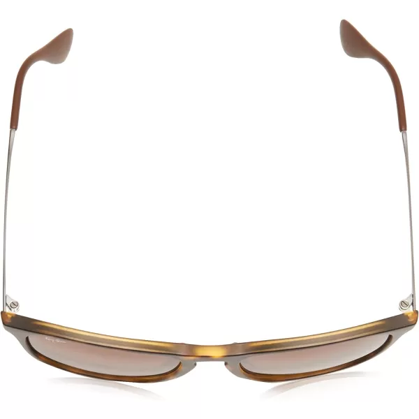 RayBan RB4187 Chris Square SunglassesRubber Havana