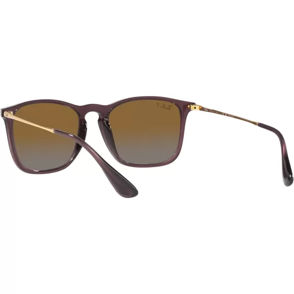 RayBan RB4187 Chris Square SunglassesTransparent BrownGrey Gradient Brown Polarized