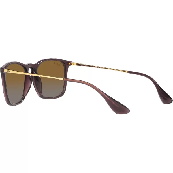 RayBan RB4187 Chris Square SunglassesTransparent BrownGrey Gradient Brown Polarized