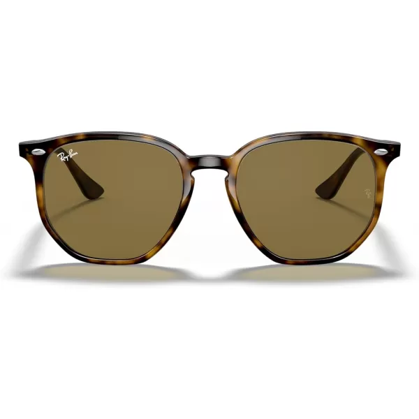 RayBan Rb4306 Hexagonal SunglassesLight HavanaDark Brown