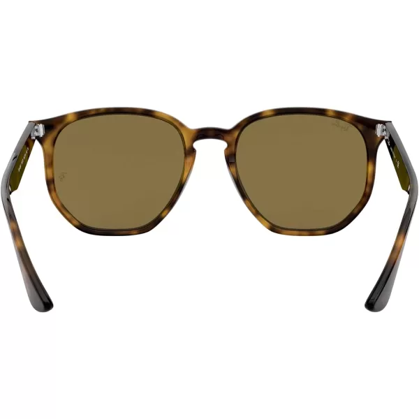 RayBan Rb4306 Hexagonal SunglassesLight HavanaDark Brown