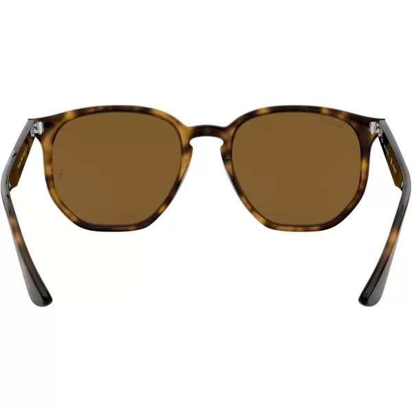 RayBan Rb4306 Hexagonal SunglassesLight HavanaPolarized Brown