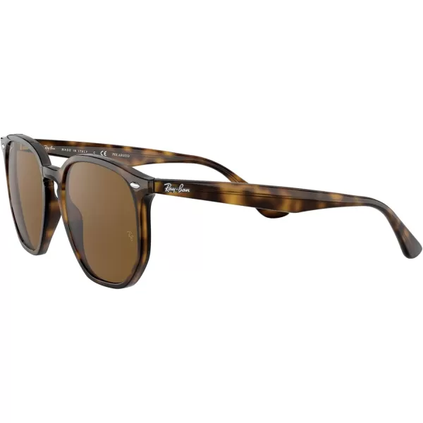 RayBan Rb4306 Hexagonal SunglassesLight HavanaPolarized Brown